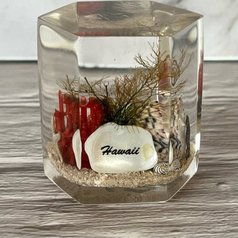 Vtg Hawaii Ocean Sea Life Themed Coral Reef Lucite Resin Hexagon Paperweight